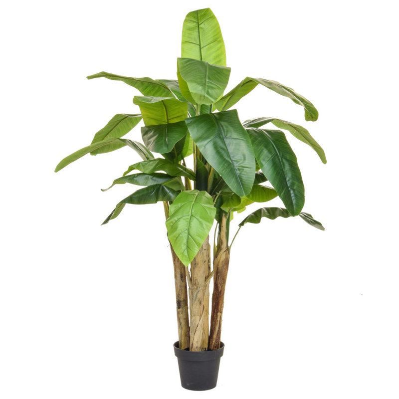 The Seasonal Aisle Artificial Banana Tree Wayfair.co.uk